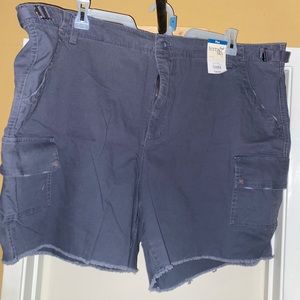 Blue gray Terra Sky Shorts 24W